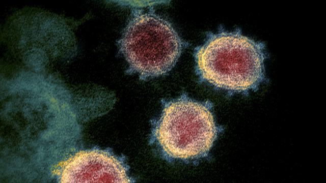 Bocah Perempuan di Kavling Senjulung Positif Covid pada Test Swab Kedua