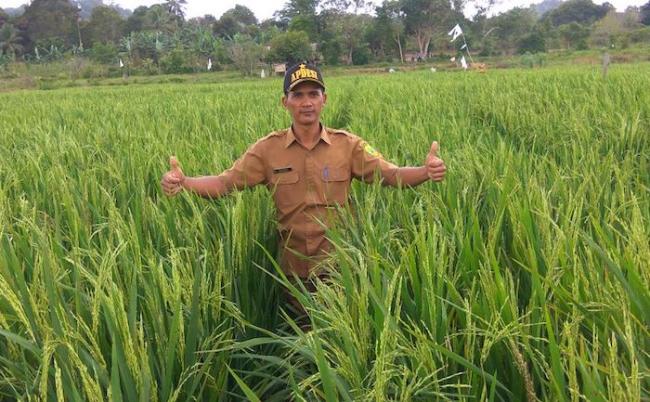 Bank Indonesia Bantu Pemkab Lingga di Bidang Pertanian