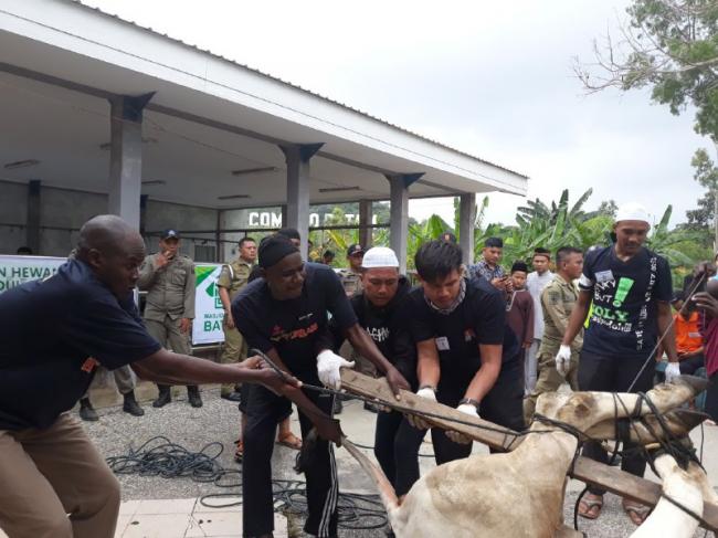 Imigran Afrika Ikut Sembelih Hewan Kurban di Masjid Agung Batam
