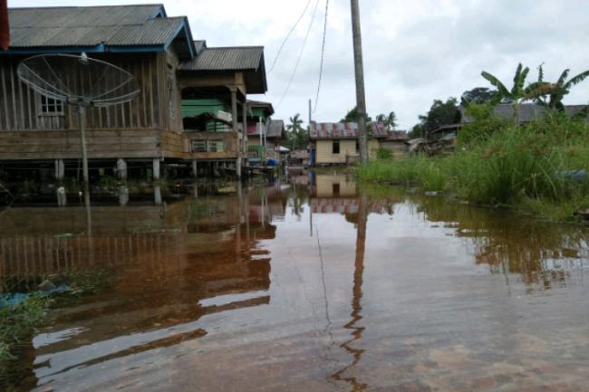 Air Laut Pasang, BPBD Lingga Imbau Warga Pesisir Waspada Predator Pemangsa