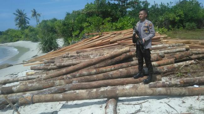 Polres Lingga Tangkap 30 Ton Kayu Hasil Illegal Logging