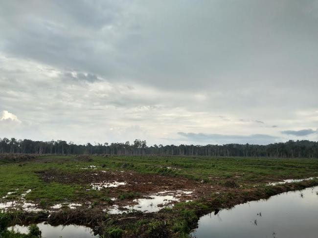 Pembukaan Percetakan Sawah di Desa Bukit Langkap Dianggap Sia-sia?
