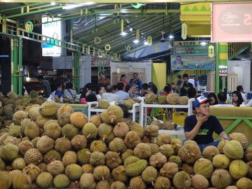 Kepri Kembangkan Durian Unggulan Di Lingga dan Karimun