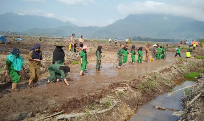 Awe Yakin Sawah Desa Panggak Darat Bakal Panen Padi Terbesar di Lingga