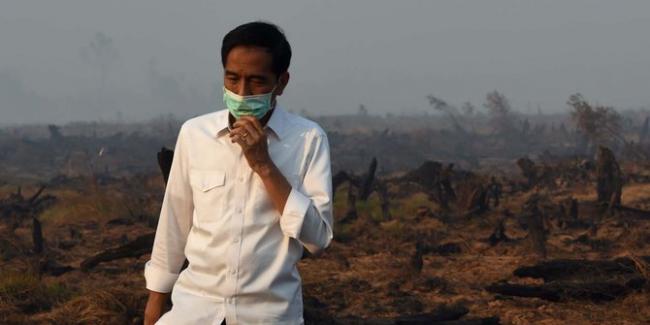 Presiden Jokowi Tiba di Pekanbaru di Tengah Kabut Asap Kebakaran Hutan