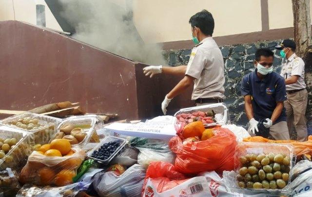 Balai Karantina Musnahkan Daging Ilegal dan Tanaman dari Luar Negeri