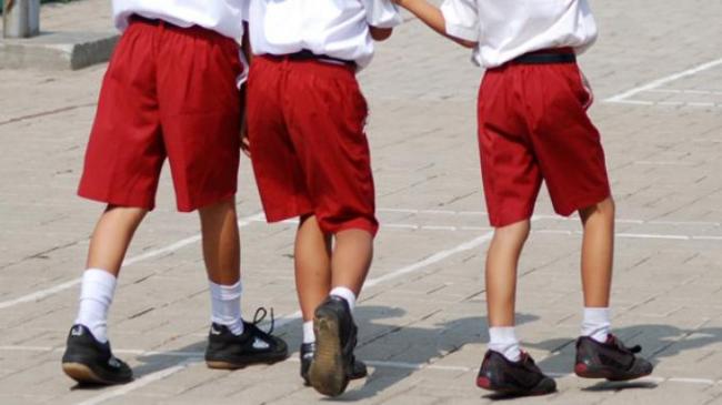 Siswa Kelas 2 SD Tewas Berkelahi di Sekolah, Ini Komentar Pedas Mensos