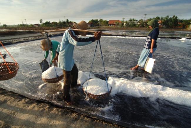 Melonjak Drastis, Harga Garam di Tanjungpinang Tembus Rp 7.000/Kg