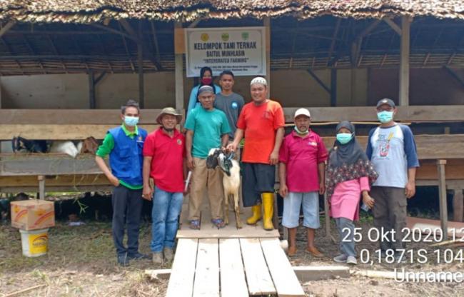 Lingga Dapat Bantuan 100 Ekor Kambing di 2020