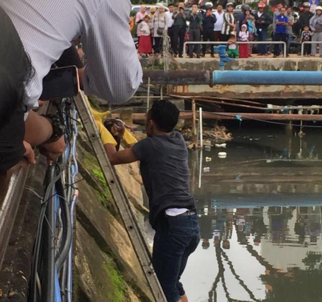 Warga Temukan Mayat Bayi di Sebuah Parit di Nagoya