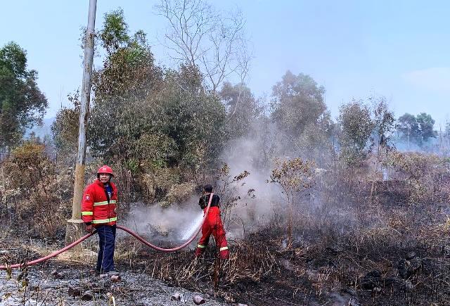Kabut Asap Kebakaran Hutan Selimuti Pulau Karimun Besar