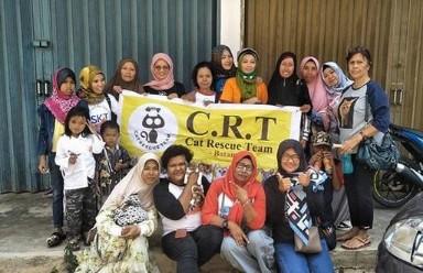 Sahabat Kucing Terlantar Galakkan Gerakan Steril Kucing di Batam