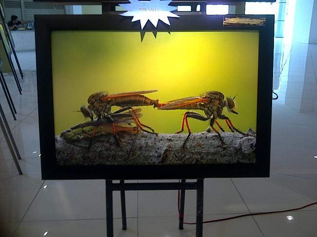 Cantiknya Foto di Pameran Foto Nagoya Citywalk