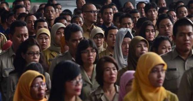 Pemkab Bintan Rekrut 170 Tenaga Honorer Diam-diam? 