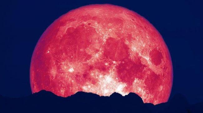 Gerhana Bulan Stroberi Hiasi Langit RI, Ini Cara Melihatnya