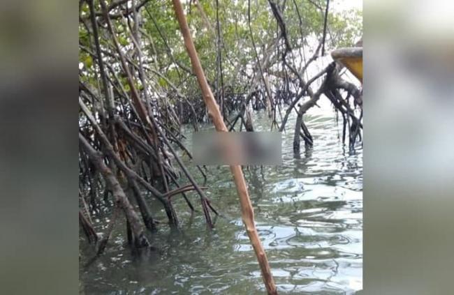 Hilang 3 Hari Lalu, Mayat Warga Bengkong Ditemukan di Hutan Bakau Nongsa