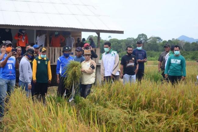 Alias Wello Ingin 4 Desa di Lingga Ini Seperti Panggak Darat