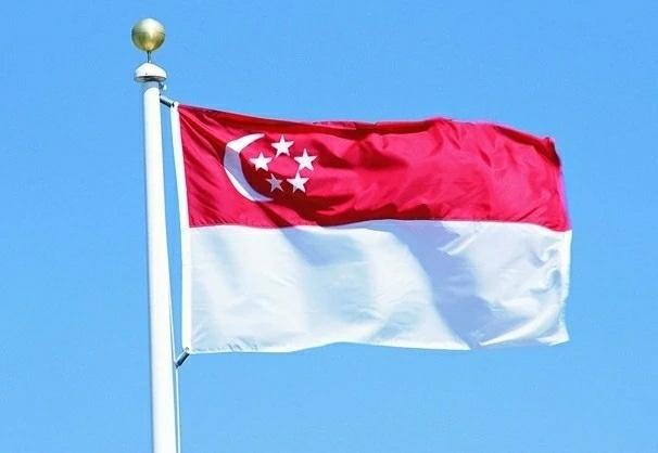 Pria Pembakar Bendera Singapura Divonis 6 Bulan Penjara