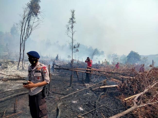 Penanganan Karhutla di Batam, Damkar Beserta TNI/Polri Bersiaga
