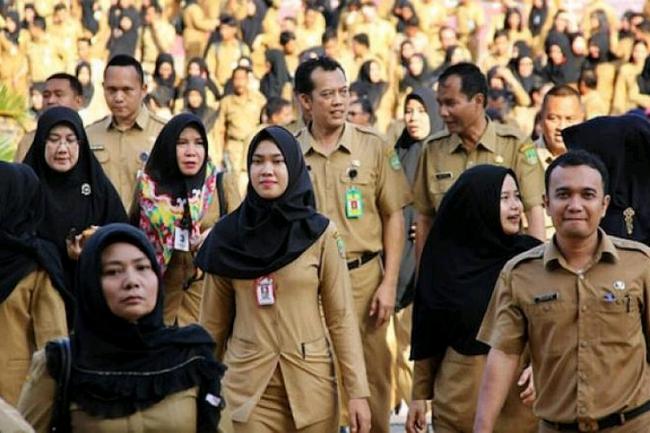 Kuota CPNS 2018 untuk Lingga 290 Orang