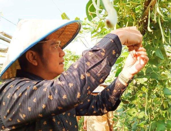 Diguyur Bantuan, Poktan Maju Jaya Sukses Topang Pasokan Sayur Bintan