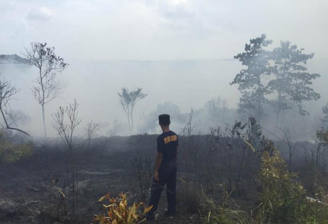 Hutan Dekat Jembatan Dua Barelang Terbakar