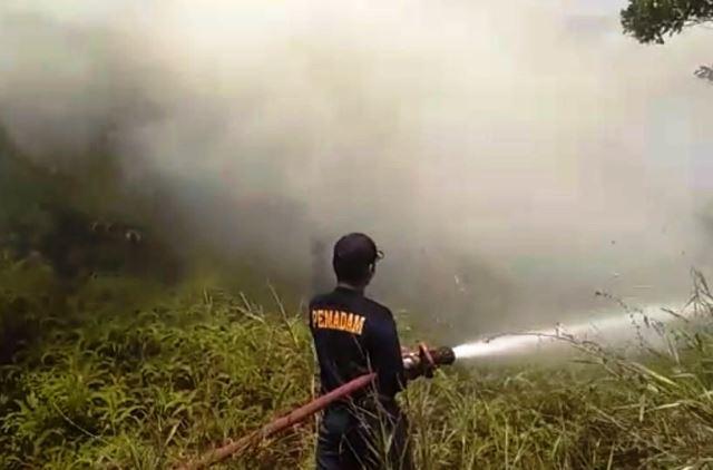Satu Hektare Lahan Depan SPBU Toapaya Diduga Sengaja Dibakar