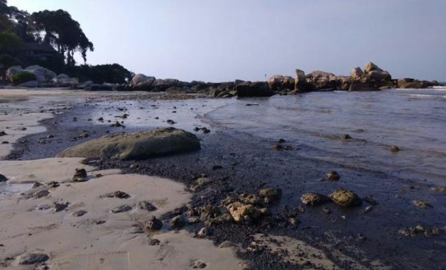 Pantai Cantik Lagoi Tercemar Limbah Minyak Hitam