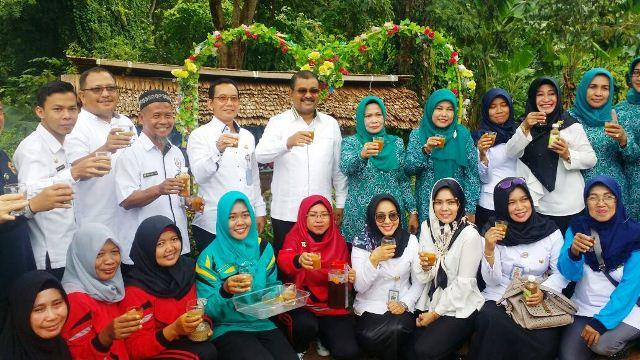 Karimun Kini Miliki Sentra Produsen Jamu