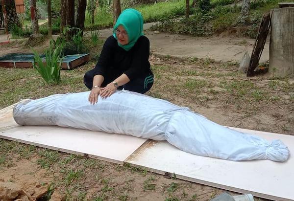 Ikan Arapaima di Hutan Mata Kucing Dikafani dan Dikuburkan