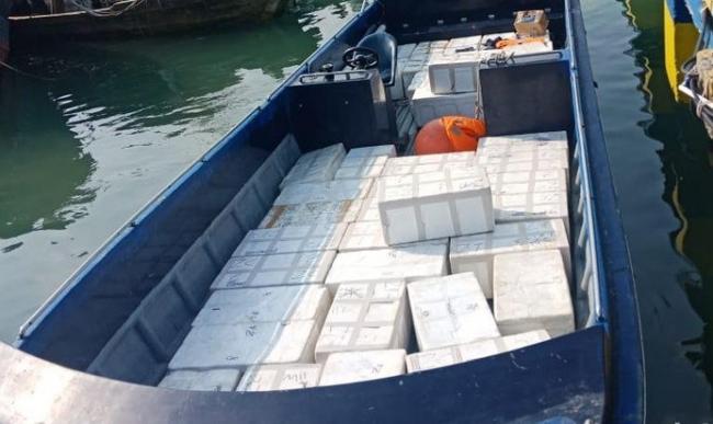 Polisi Gagalkan Penyelundupan Benih Lobster Rp 66 Miliar di Batam
