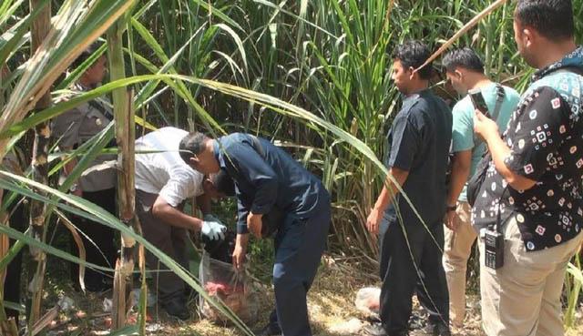 Wakil Ketua DPC PPP Jombang Tewas Tanpa Busana, Kondom Berserakan