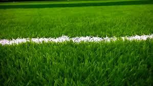 Stadion Sepakbola Busung Telan APBD Bintan Rp 31,4 Miliar