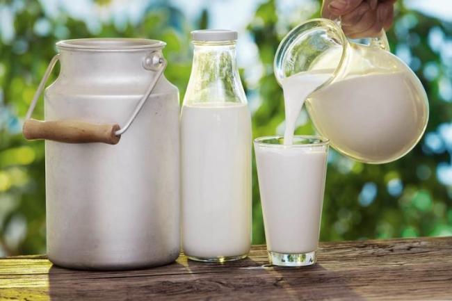 Kenapa Susu Segar Harus Segera Diminum? Ini Jawabannya