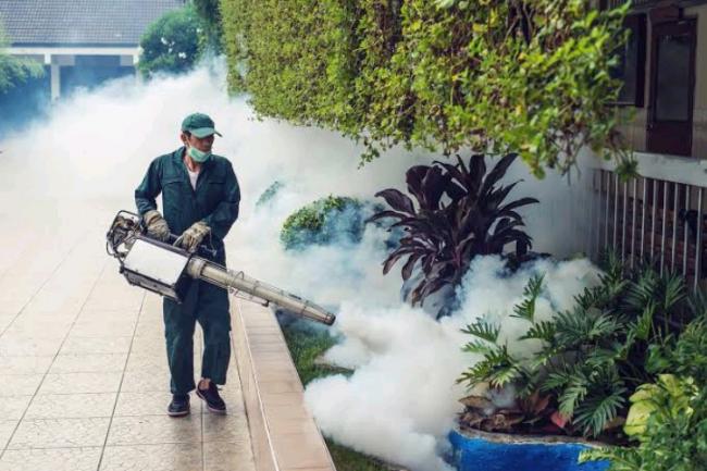Bahaya Fogging Bagi Kesehatan dan Cara Efektif Cegah Demam Berdarah