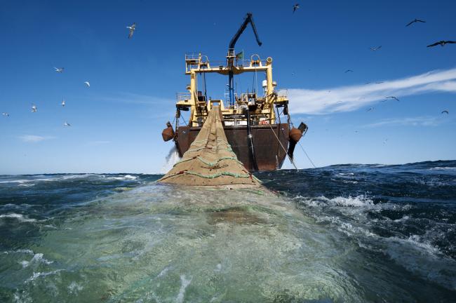 Illegal Fishing di Natuna Marak Karena Kebijakan Menteri Edhy Tak Segarang Susi?