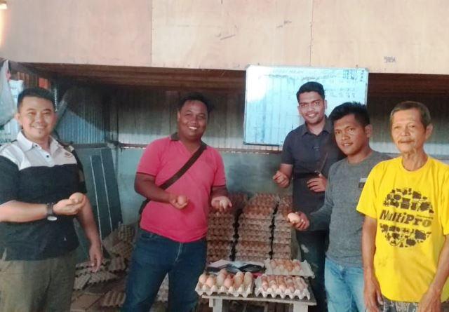 Bintan Mampu Penuhi Kebutuhan Telur Ayam di Kepri dan Jambi