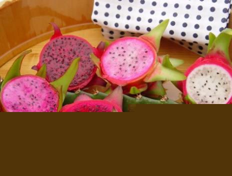 Kandungan Khasiat Buah Naga untuk manusia