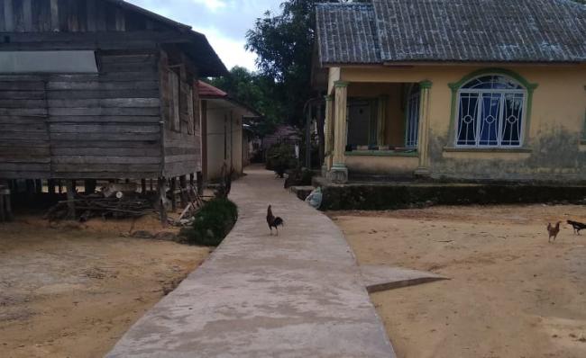 Dinas PU Lingga Bangun Ratusan Meter Jalan Lingkungan di Senayang