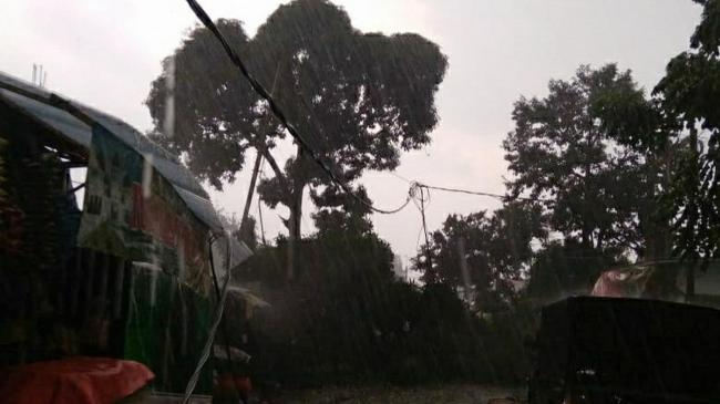 Hujan Es dan Angin Kencang Melanda Bogor, Pohon Bertumbangan