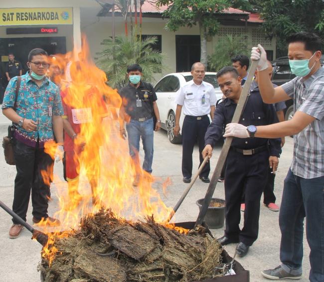 3 Cara Polresta Barelang Musnahkan Sabu, Ganja dan Ekstasi