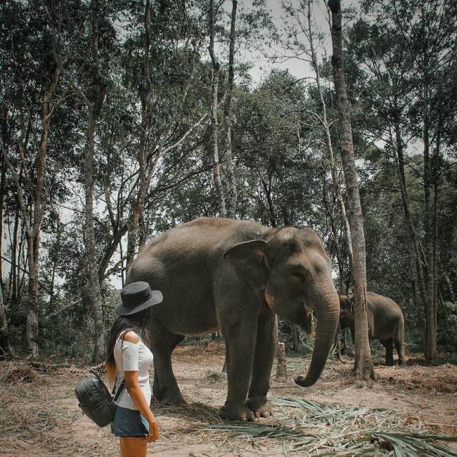 Minim Wisatawan, Pemkab Bintan Cek Kondisi Hewan Penghuni Safari Lagoi