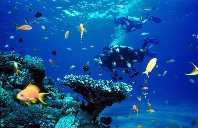 Surga Bahari Sudah Siap Dieksplorasi dalam Festival Pesona Bunaken 2018