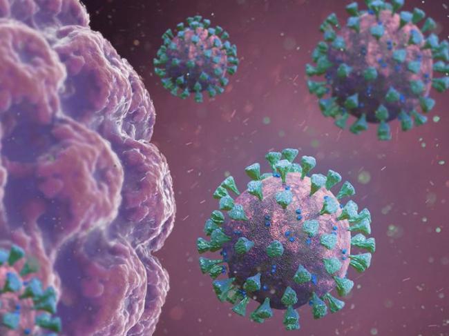 Total Positif Covid di Batam 209, Sebanyak 204 Spesimen Swab Tunggu Hasil