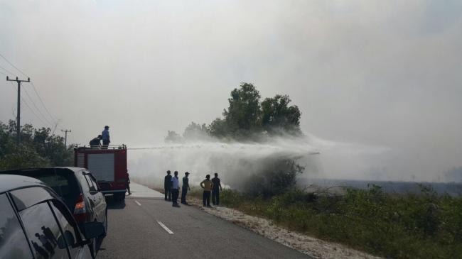 Kebakaran Hutan di Bintan Ludeskan Seratusan Hektare Lahan