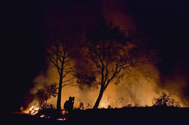 Kebakaran Lahan Nyaris Menjalar ke Kawasan Puri Industrial Park