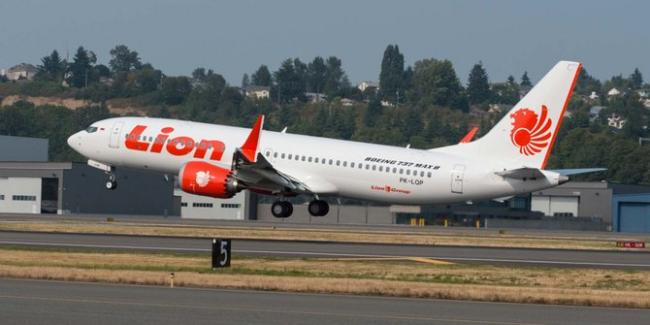 Kabin Geger, Penumpang Lion Air Lahirkan Bayinya saat Penerbangan