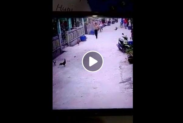 Video: Detik-detik Usai Pria Diduga Gila Membacok Warga di Bengkong