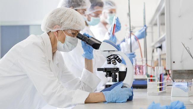 Ilmuwan Ramal Disease X Jadi Pandemi Global Baru