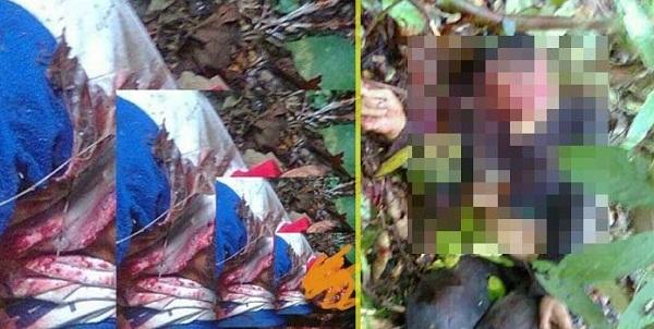 Suami Istri Dicabik-cabik Beruang di Kampar